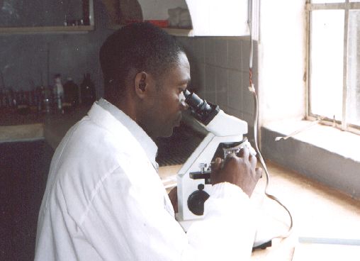 Malaria test in het Laboratorium