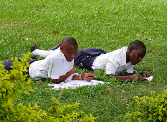 Secondary students in the grass